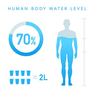 Infograph showing Human body water level is 70%. This equals to 2L of water.